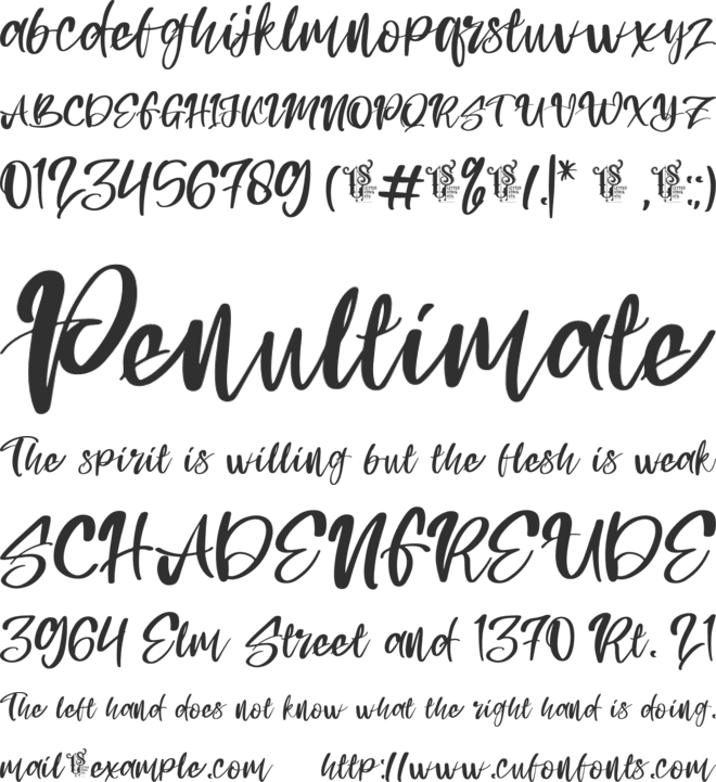 Packos font preview