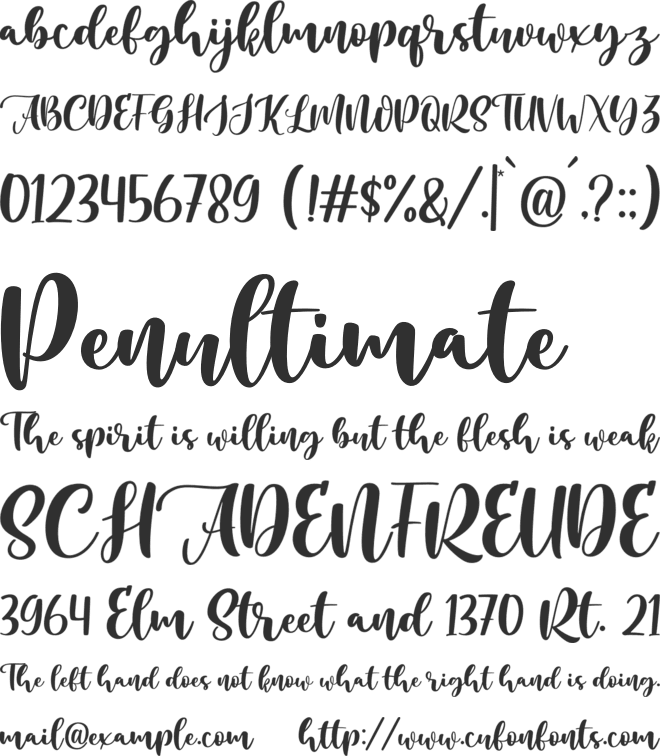 Amazing Christmas font preview