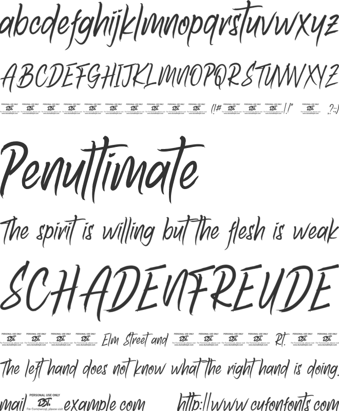 Amazoone font preview