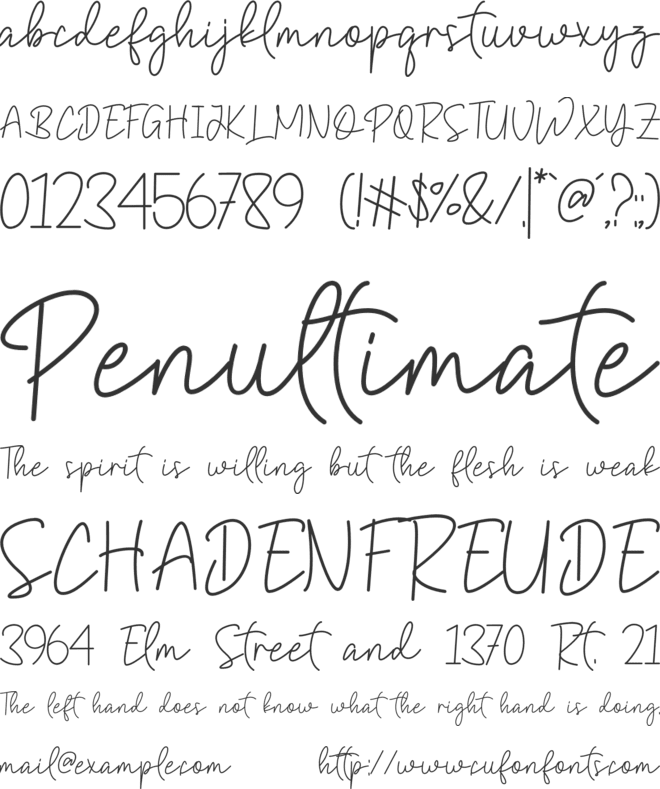 Meflin Script font preview