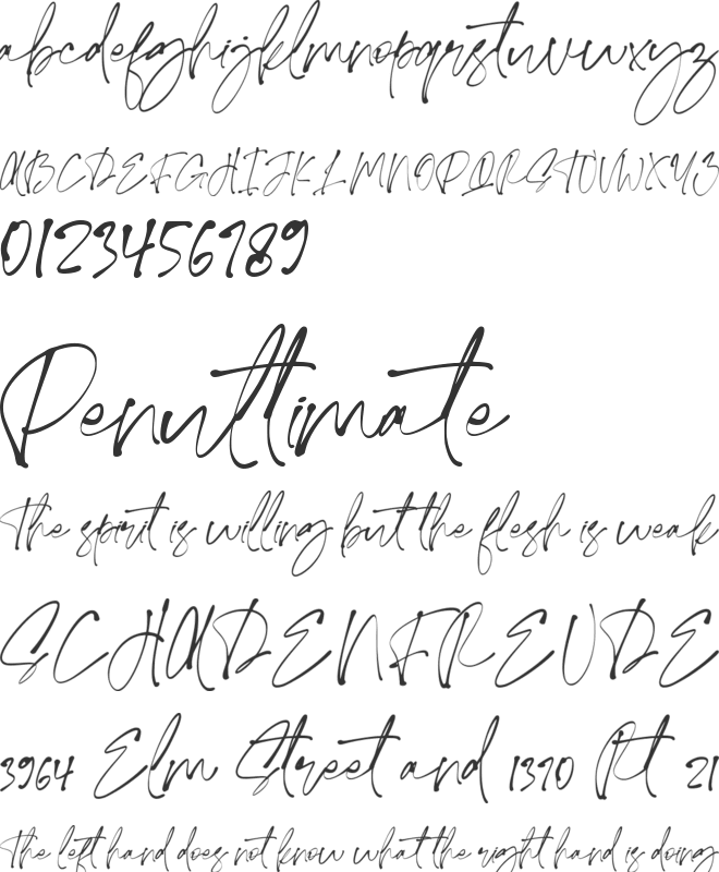 Ivory Coast font preview