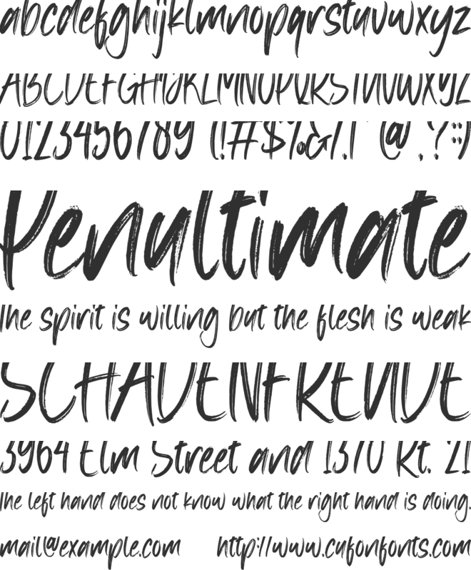 Brush effect font preview