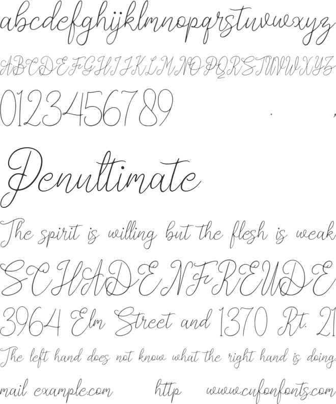 Cashman font preview