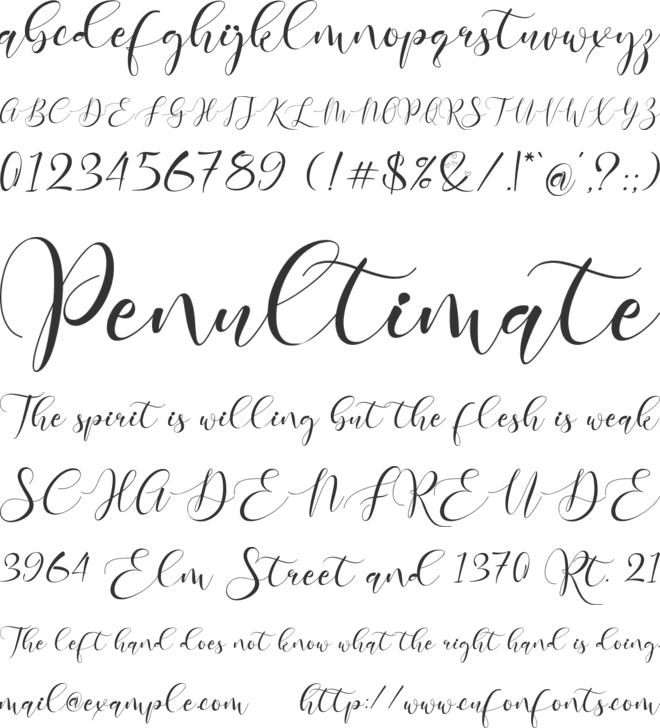 Rosemary Christmas font preview