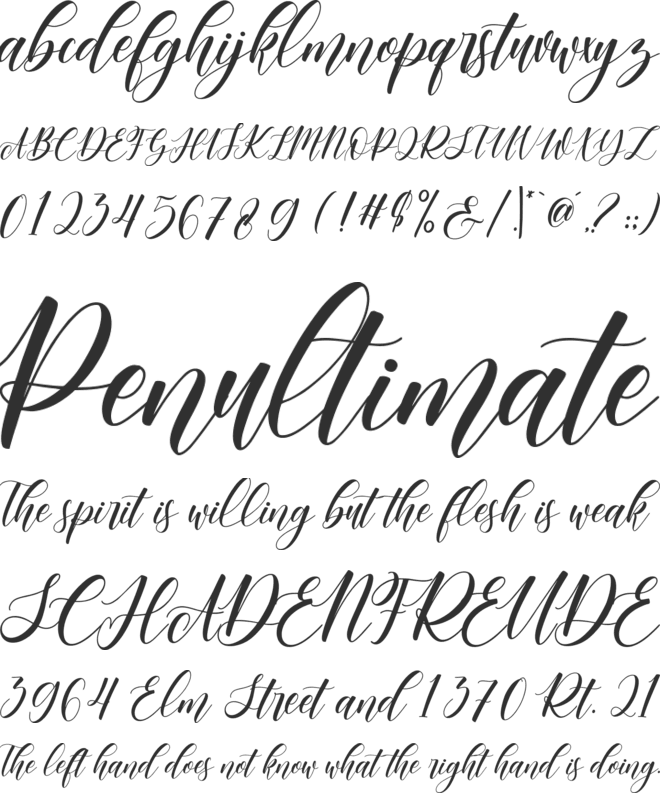 Beloved Christmas font preview