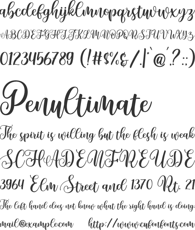 Abby Olla font preview