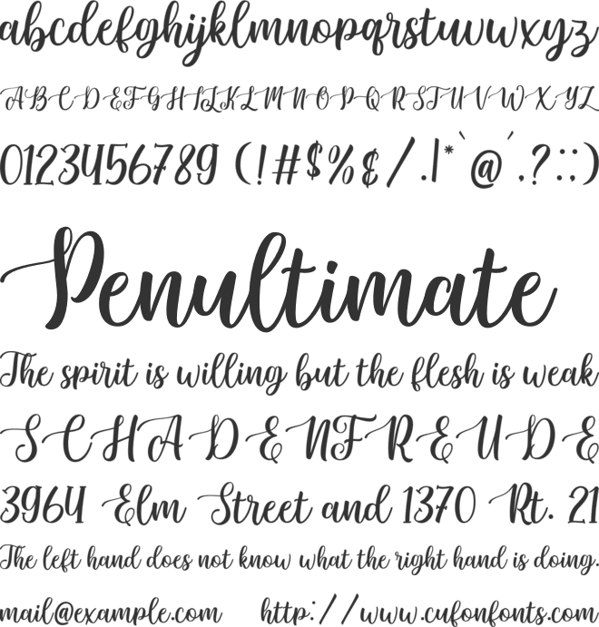 Sunkiss Script font preview