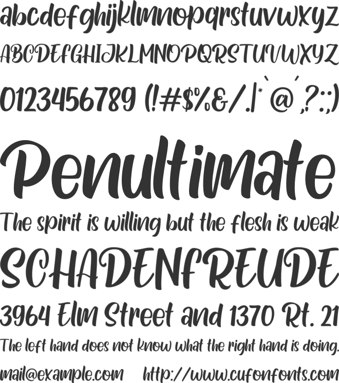 Special Ramen font preview