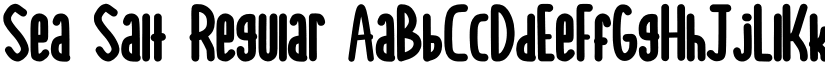 Sea Salt Regular font