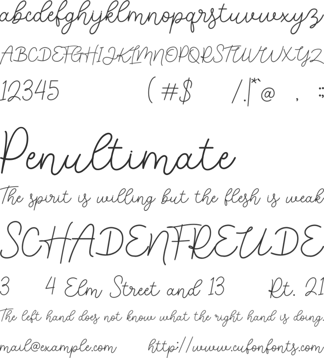 Kaylea Script font preview