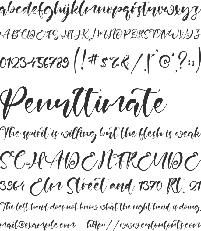 Febian Script font preview