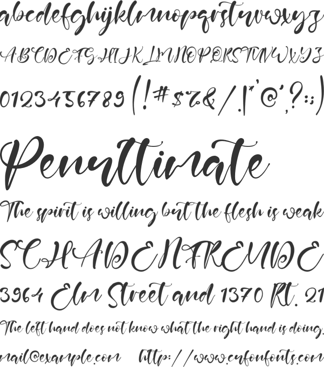 Febian Script font preview