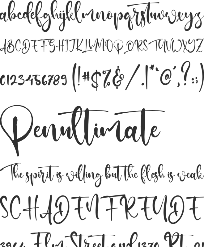 Sally Nelson font preview