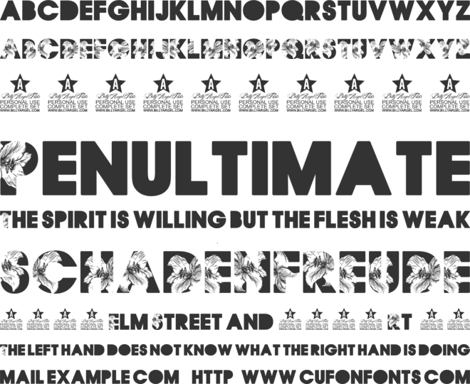 FLORAL PERSONAL USE font preview