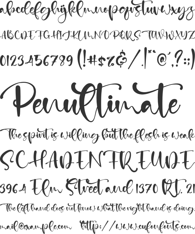 Calm Life font preview