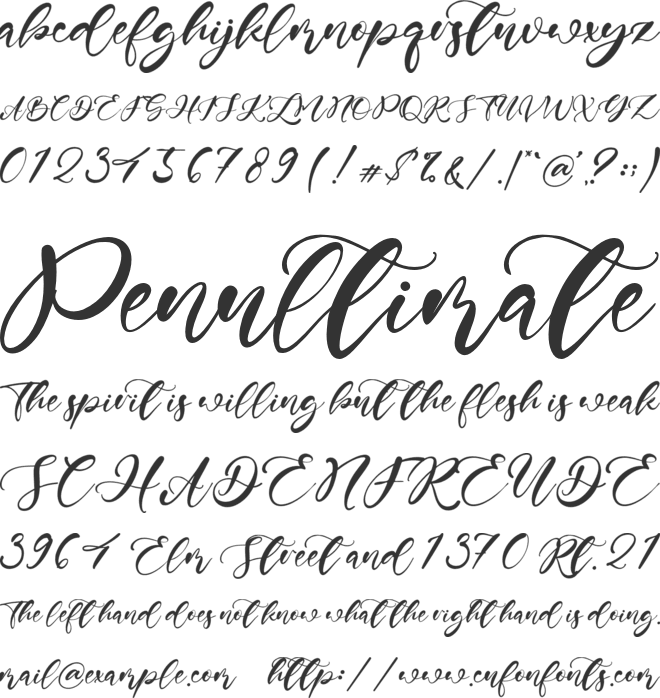 Andrew Script font preview