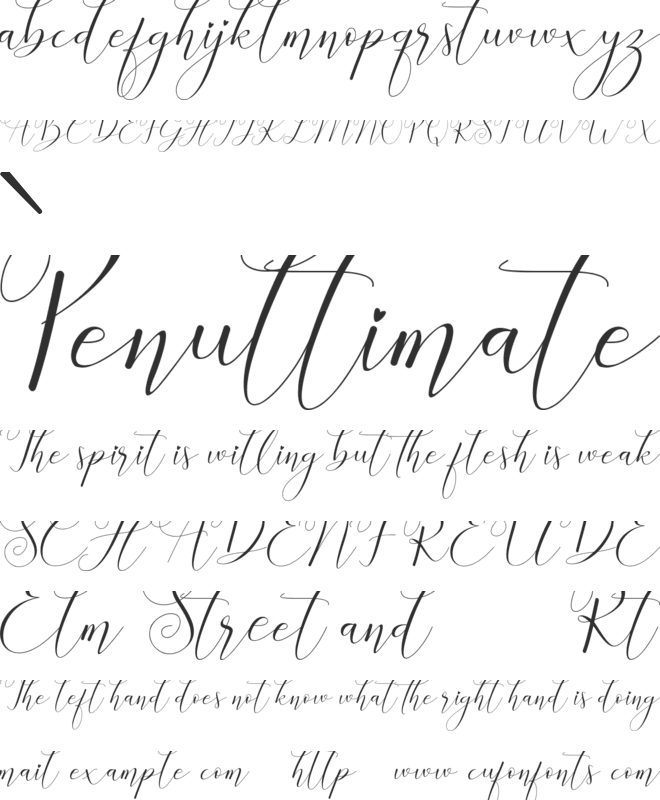 Christmas Starlight font preview