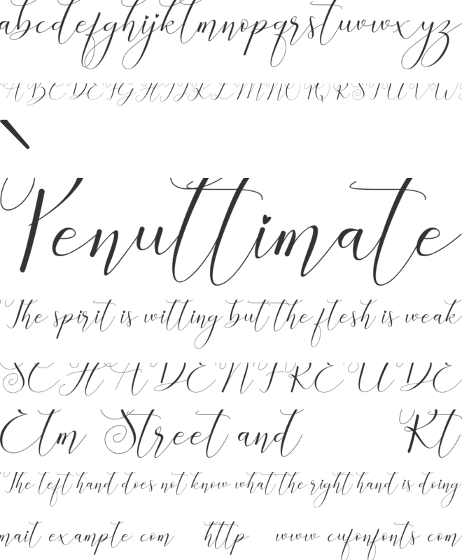 Christmas Starlight font preview