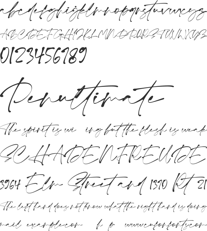 Monita Signature font preview