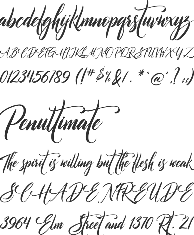 Authorization font preview