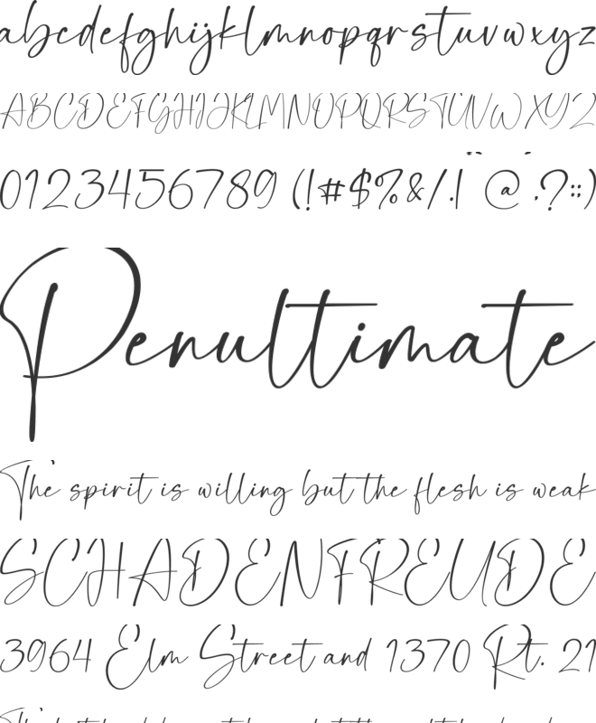 Panelines font preview