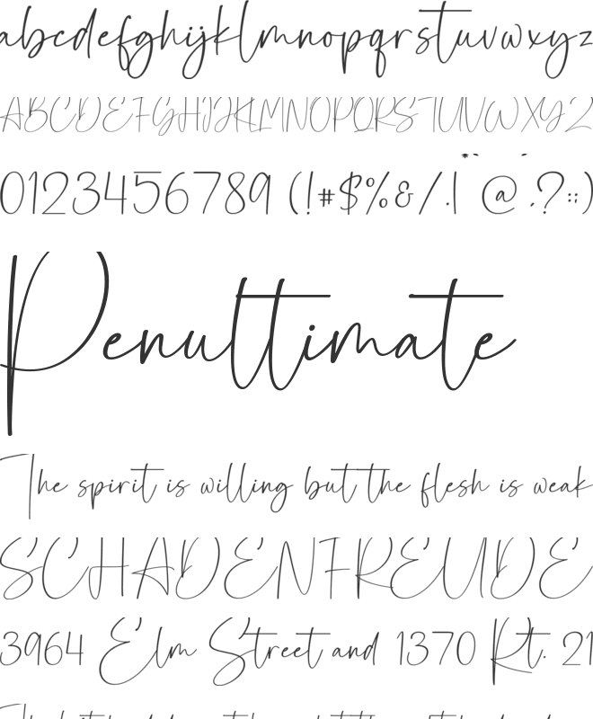 Salcinaille font preview