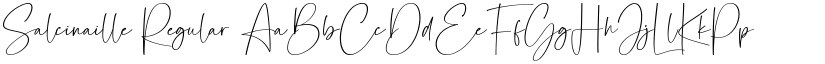 Salcinaille Regular font