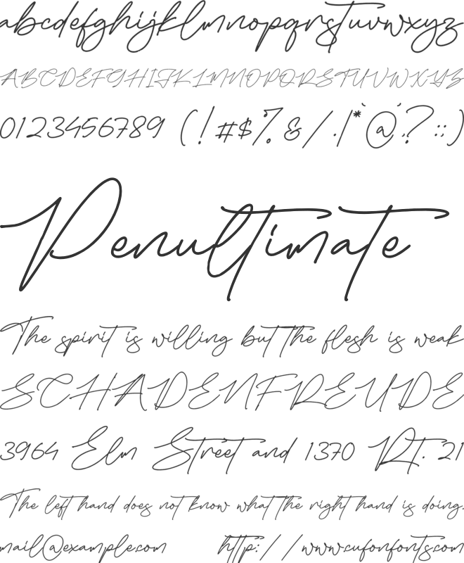 Falidasi Triasie font preview