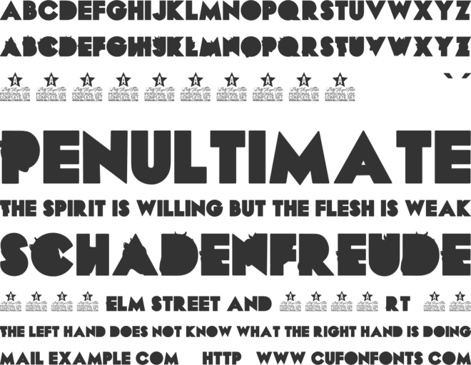 NICESOUR PERSONAL USE font preview