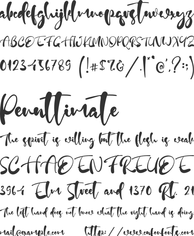 Enjoy Days font preview