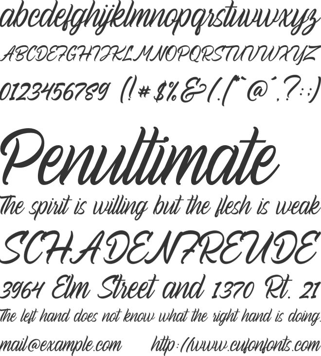 Ocean Road font preview