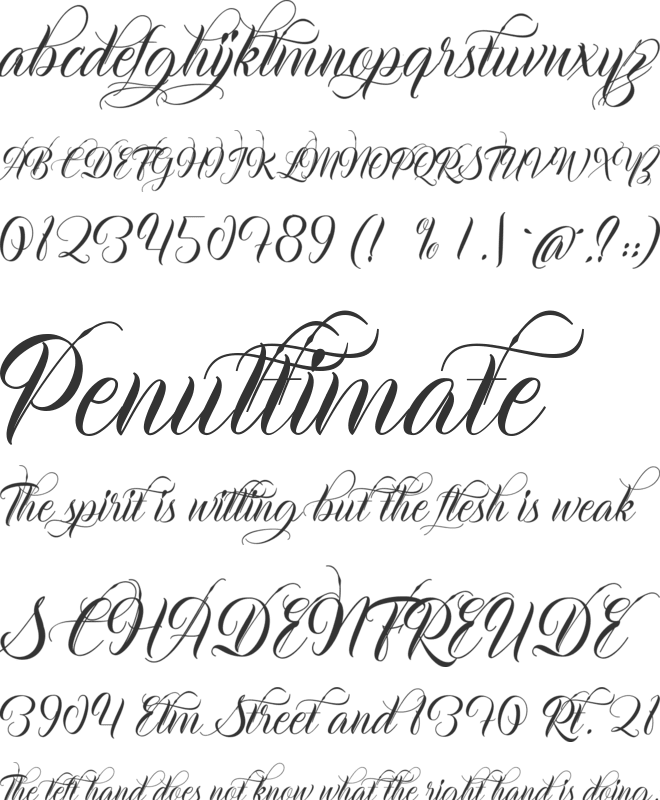 Adolphia font preview