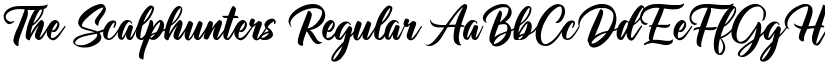 The Scalphunters font download