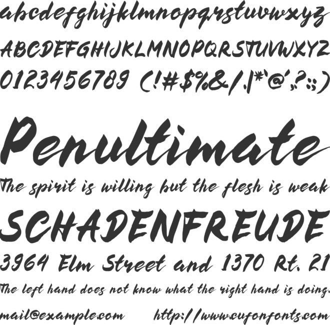 BUCKY Sans font preview