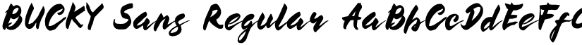 BUCKY Sans Regular font