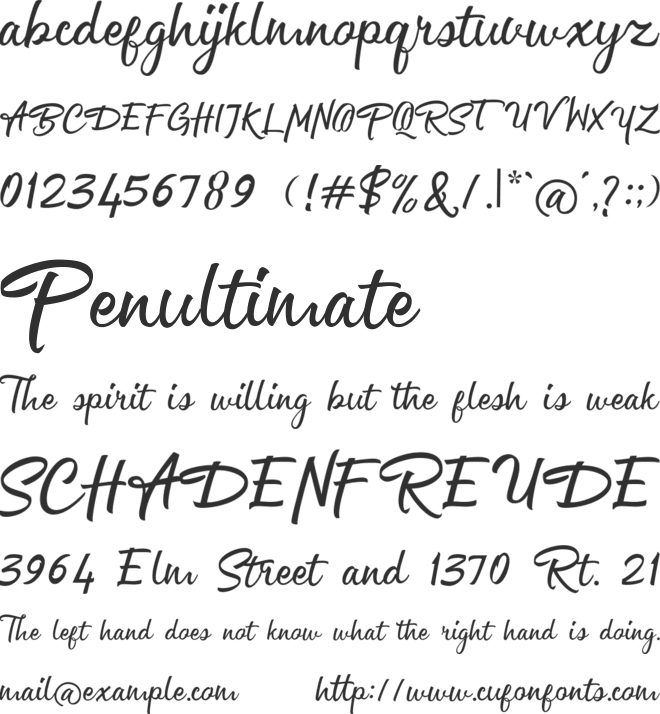 Channelley Script font preview