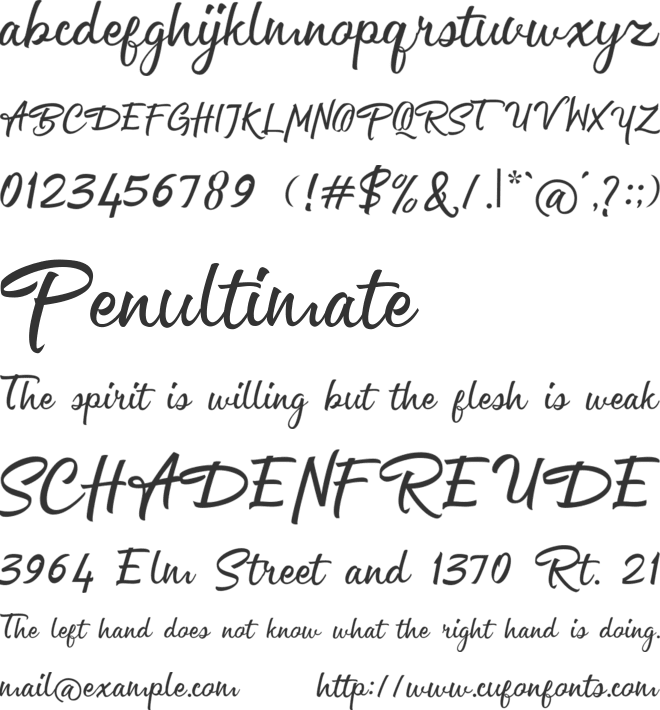 Channelley Script font preview