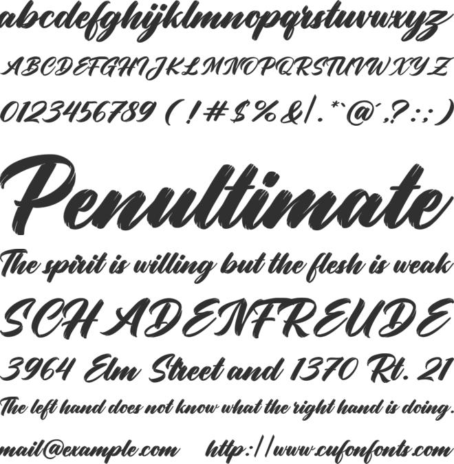 Confidential Information font preview