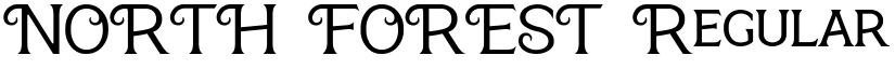 NORTH FOREST Regular font