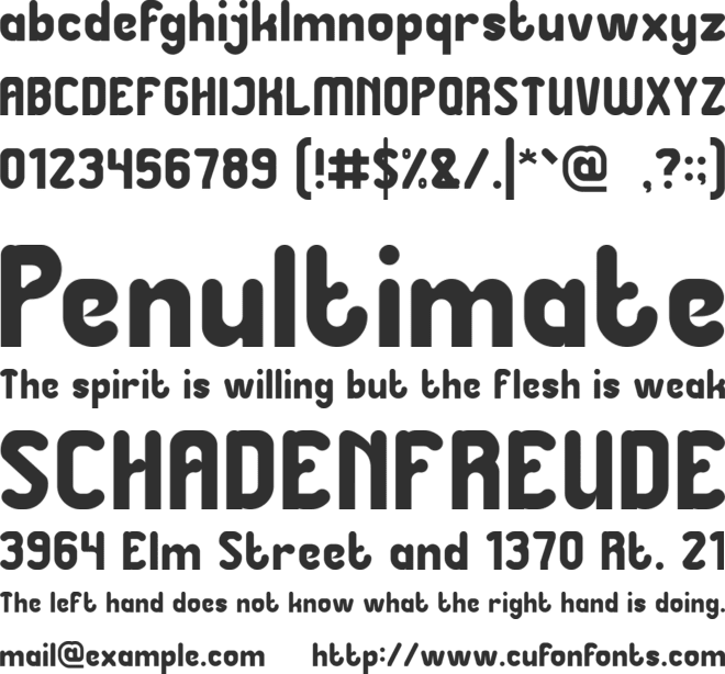 Great Leader font preview