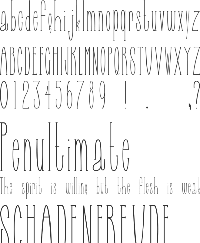 Selfish Bitch font preview