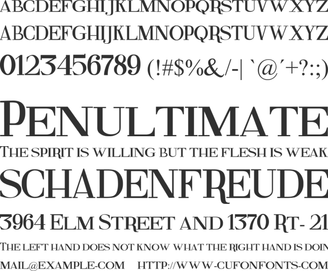 Fine Serif font preview