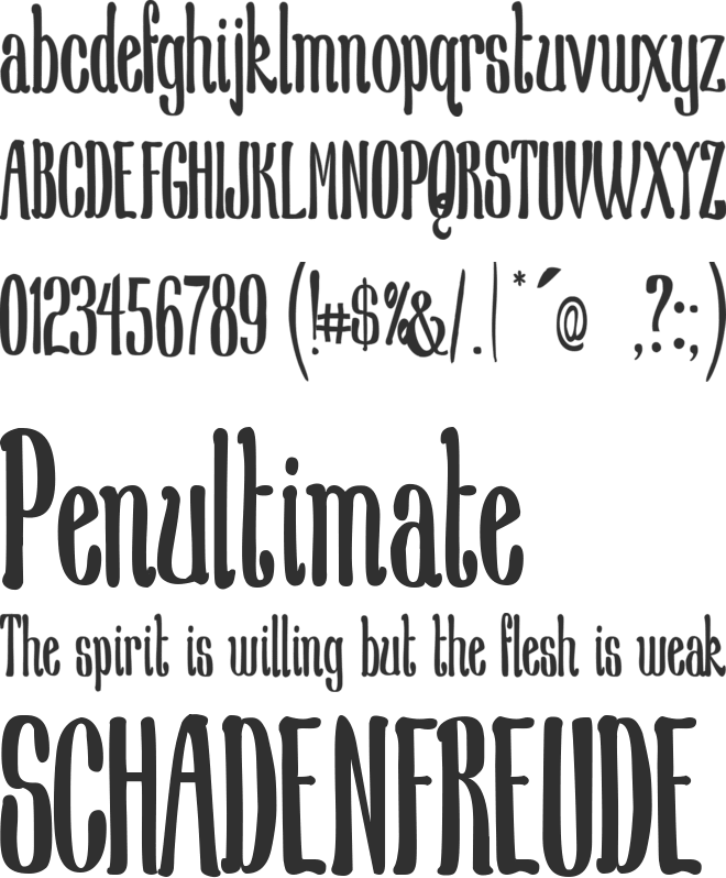 New School Class Med font preview