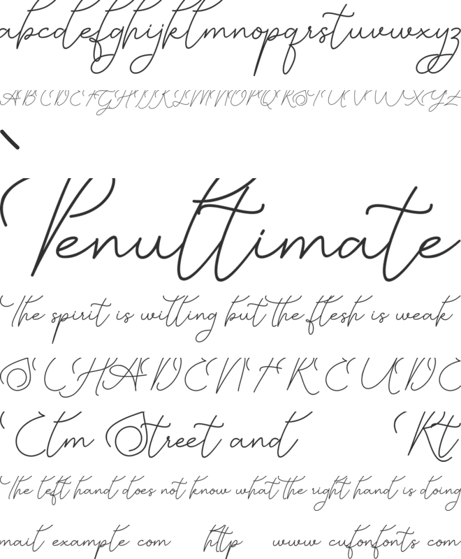 Manhattan Signature font preview