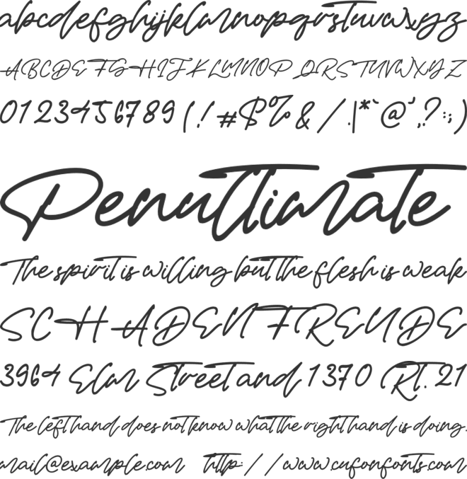 James Hayley font preview