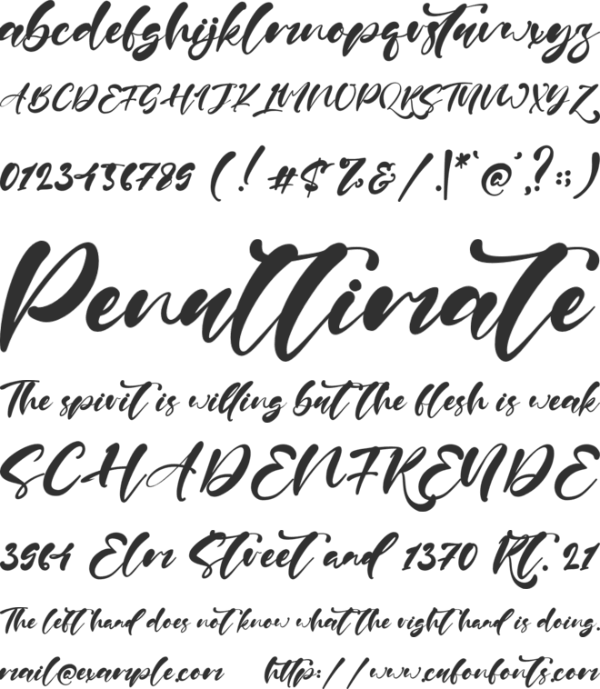 Paul Nora font preview