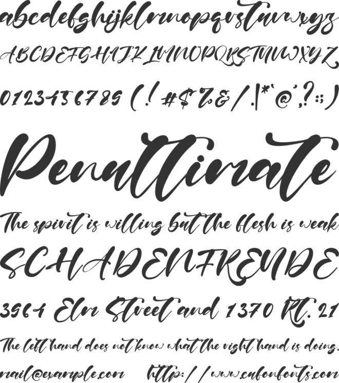 Paul Nora font preview