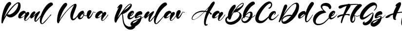 Paul Nora font download