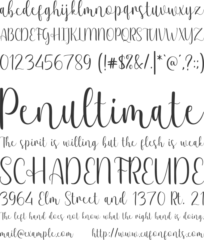 nowela font preview