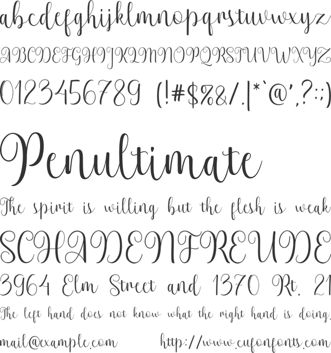 michelia font preview